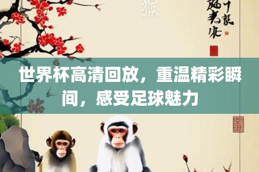 世界杯高清回放，重温精彩瞬间，感受足球魅力漯河市盈旭机械设备有限公司