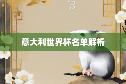 意大利世界杯名单解析