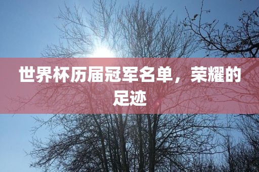 世界杯历届冠军名单，荣耀的足迹