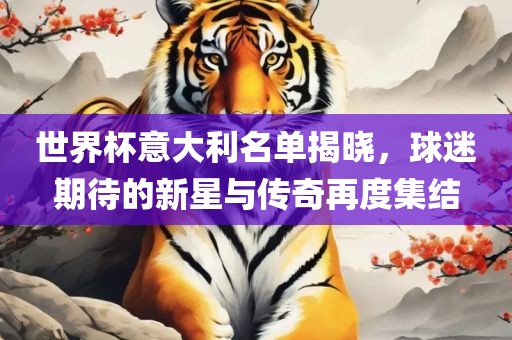 世界杯意大利名单揭晓，球迷期待的新星与传奇再度集结
