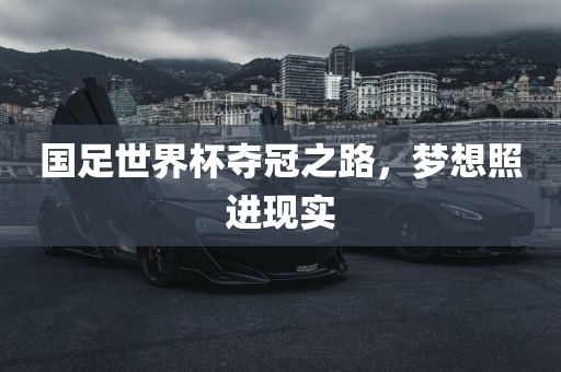国足世界杯夺冠之路，梦想照进现实