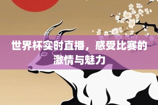 世界杯实时直播，感受比赛的激情与魅力漯河市盈旭机械设备有限公司