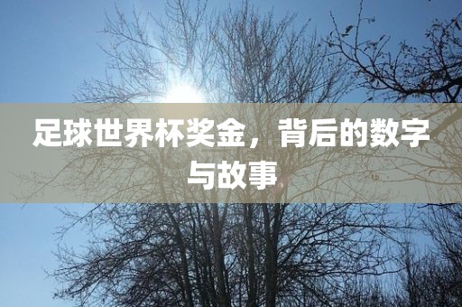 足球世界杯奖金，背后的数字与故事漯河市盈旭机械设备有限公司