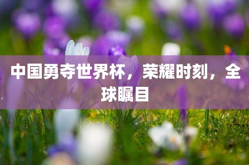 中国勇夺世界杯，荣耀时刻，全球瞩目漯河市盈旭机械设备有限公司