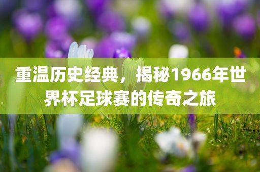 重温历史经典，揭秘1966年世界杯足球赛的传奇之旅
