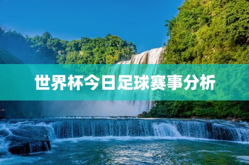 世界杯今日足球赛事分析