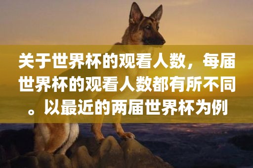 关于世界杯的观看人数，每届世界杯的观看人数都有所不同。以最近的两届世界杯为例