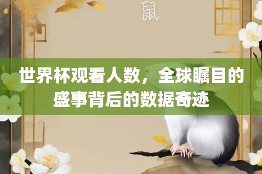 世界杯观看人数，全球瞩目的盛事背后的数据奇迹