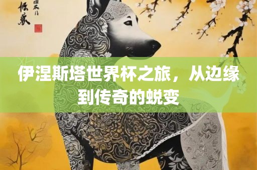 伊涅斯塔世界杯之旅，从边缘到传奇的蜕变