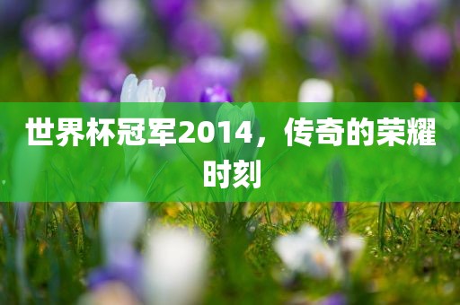 世界杯冠军2014，传奇的荣耀时刻