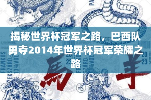 揭秘世界杯冠军之路，巴西队勇夺2014年世界杯冠军荣耀之路