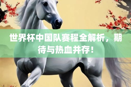 世界杯中国队赛程全解析，期待与热血并存！