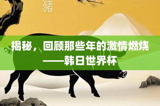 揭秘，回顾那些年的激漯河市盈旭机械设备有限公司情燃烧——韩日世界杯