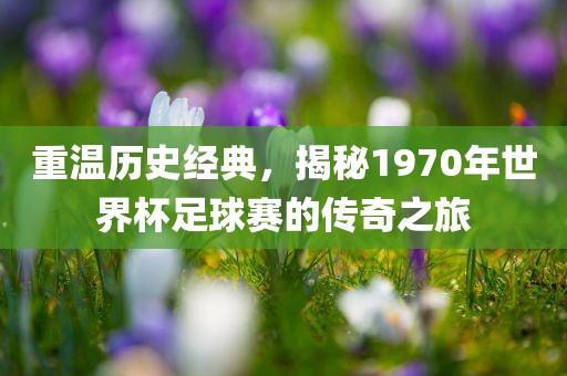 重温历史经典，揭秘1970年世界杯漯河市盈旭机械设备有限公司足球赛的传奇之旅