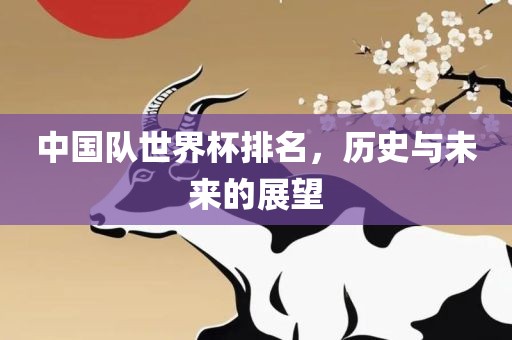 中国队世界杯排名，历史与未来的展望漯河市盈旭机械设备有限公司