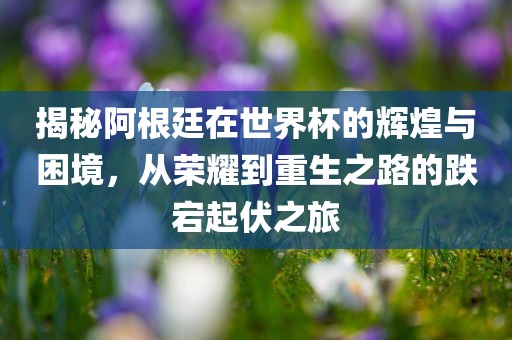 揭秘阿根廷在世界杯的辉煌与困境，从荣耀到重生之路的跌宕起伏之旅