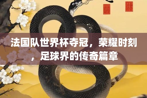 法国队世界杯夺冠，荣耀时刻，足球界的传奇篇章漯河市盈旭机械设备有限公司
