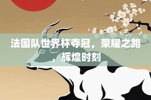 漯河市盈旭机械设备有限公司法国队世界杯夺冠，荣耀之路，辉煌时刻