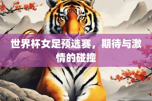 世界杯女足预选赛，期待与激情的碰撞