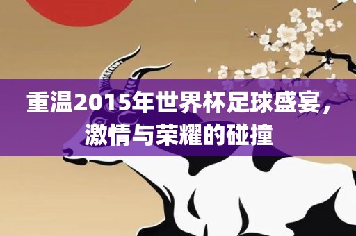 重温2015年世界杯足球盛宴，激情与荣耀的碰撞漯河市盈旭机械设备有限公司
