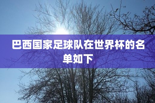 巴西国家足球队在世界杯的名单如下漯河市盈旭机械设备有限公司