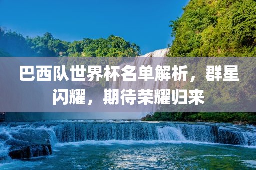 巴西队世界杯名单解析，群星闪耀，期待荣耀归来