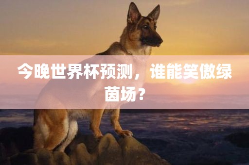 今晚世界杯预测，谁能笑傲绿茵场？漯河市盈旭机械设备有限公司