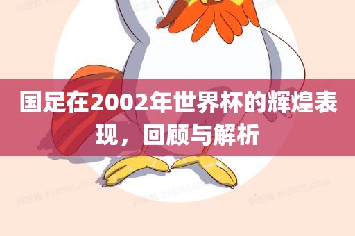 国足在2002年世界杯的辉煌表现，回顾与解析漯河市盈旭机械设备有限公司