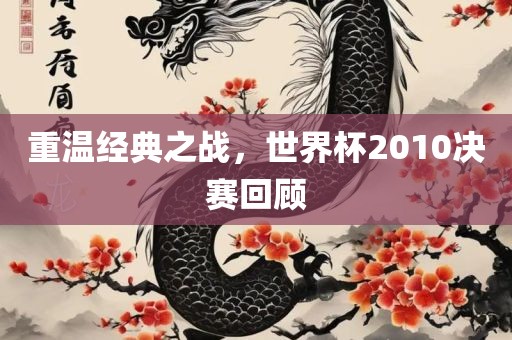 重温经典之战，世界杯2010决赛回顾