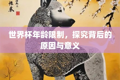 世界杯年龄限制，探究背漯河市盈旭机械设备有限公司后的原因与意义