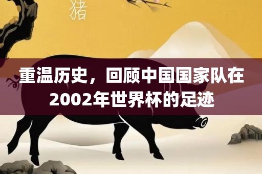 重温漯河市盈旭机械设备有限公司历史，回顾中国国家队在2002年世界杯的足迹