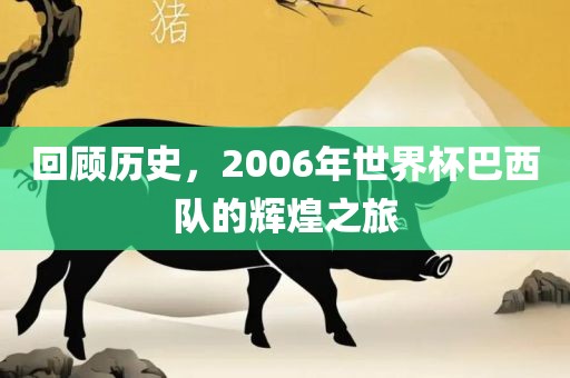 回顾历史，2006年世界杯巴西队的辉煌之旅