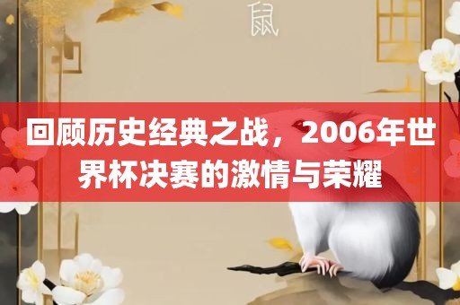 回顾历史经典之战，2006年世界杯决赛的激情与荣耀