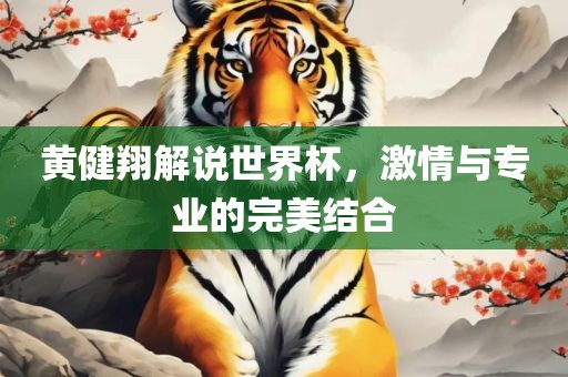 黄健翔解说世界杯，激情与专业的完美结合漯河市盈旭机械设备有限公司