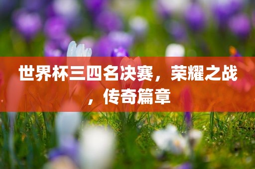 世界杯三四名决赛，荣耀之战，传奇篇章