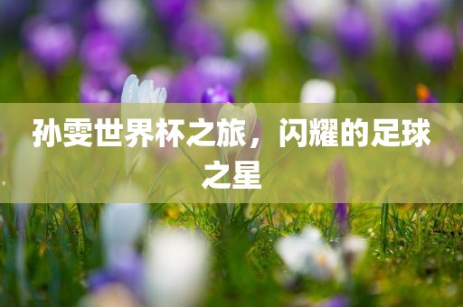 孙雯世界杯之旅，闪耀的足球之星漯河市盈旭机械设备有限公司
