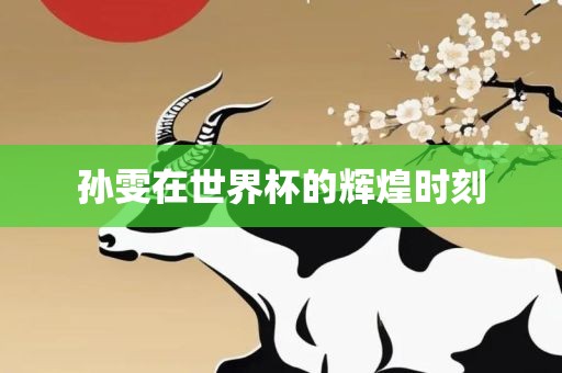 孙雯在世界杯的辉煌时刻漯河市盈旭机械设备有限公司