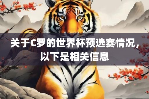 关于C罗的世界杯预选赛情况，以下是相关信息