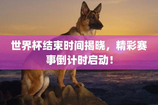 世界杯结束时间揭晓，精彩赛事倒计时启动！