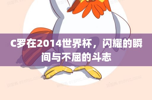 C罗在2014世界杯，闪耀的瞬间与不屈的斗志漯河市盈旭机械设备有限公司