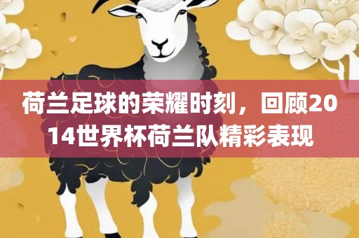荷兰足球的荣耀时刻，回顾2014世界杯荷兰队精彩表漯河市盈旭机械设备有限公司现
