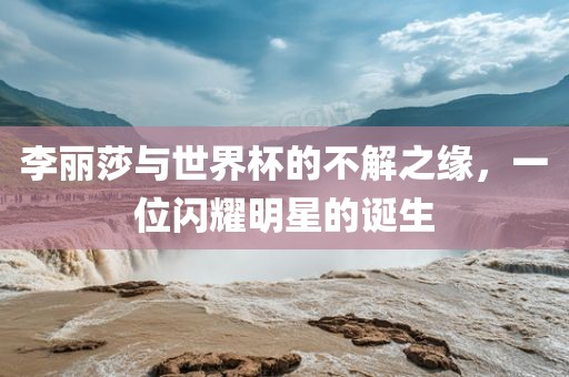 李丽莎与世界杯的不解之缘，一位闪耀明星的诞生漯河市盈旭机械设备有限公司