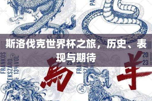 斯洛伐克世界杯之旅，历史、表现与期待