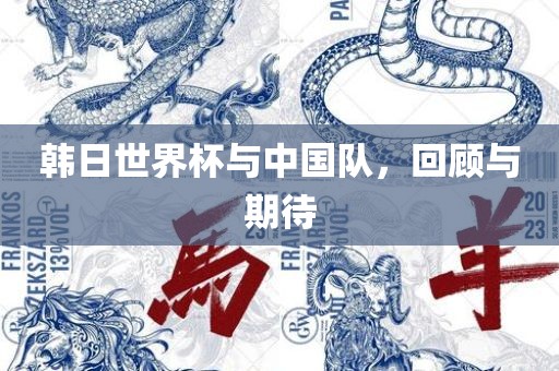 韩日世界杯与中国队，回顾与期待