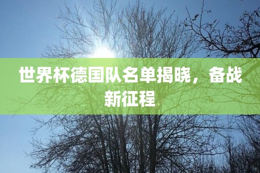 世界杯德国队名单揭晓，备战新征程