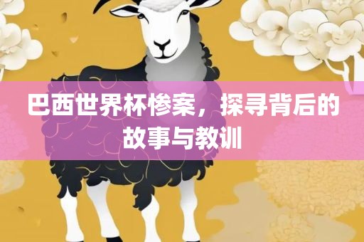 巴西世界杯惨案，探寻背后的故事与教训