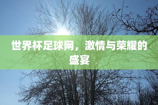 世界杯足球网，激情与荣耀的盛宴漯河市盈旭机械设备有限公司