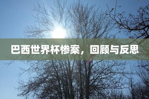 巴西世界杯惨案，回顾与反思