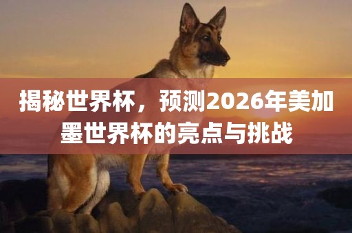 揭秘世界杯，预测2026年美加漯河市盈旭机械设备有限公司墨世界杯的亮点与挑战