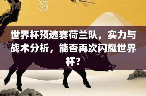 世界杯预选赛荷兰队，实力与战术分析，能否再次闪耀世界杯？